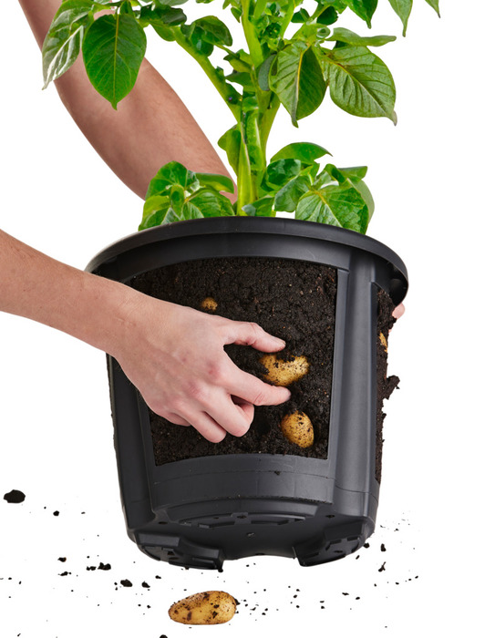 Kartoffelpot - H29,5 x Ø25,5 cm